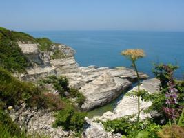 Übersetzer, Dolmetscher Deutsch-Türkisch.