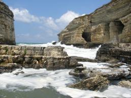 Aksan Terc�me ve danışmanlık hizmetleri. Sosyal medyada takipcinizi artiriniz. 