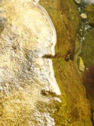 Gewinnen Sie mehr Follower! Kleine Preise f�r Kleinunternehmer und Personen
